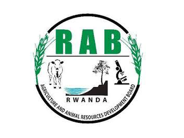 RAB
